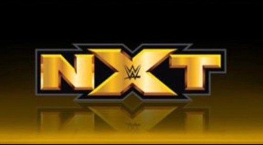 WWE NXT 23 September (2020) English WEBRip 480p [ 350MB ] download