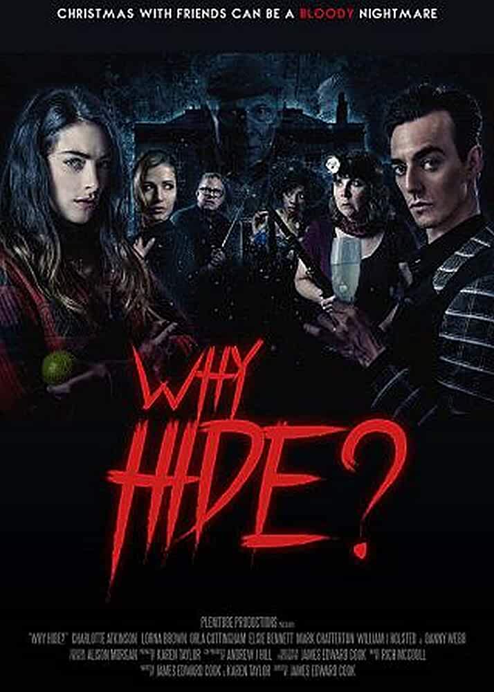 Why Hide (2018) Dual Audio Hindi WEB DL 480p [300MB] || 720p [850MB] download