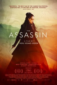 The Assassin (2015) BluRay Dual Audio Hindi 720p [1GB] || 480p [300MB] download