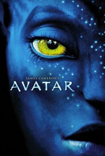 Avatar (2009) Dual Audio Hindi BluRay 480p [500MB] | 720p [1.2GB] download