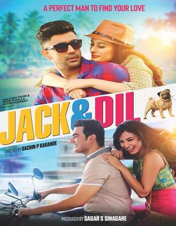 Jack & Dil (2018) WEB DL Hindi 720p [ 800MB ] || 480p [ 300MB ] download