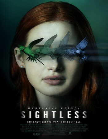 Sightless (2020) WEB DL DuaL Audio Hindi 720p [ 850MB ] || 480p [ 300MB ] download