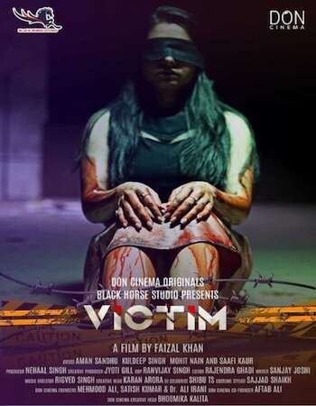 Victim (2021) WEB DL Hindi 720p [ 750MB ] || 480p [ 300MB ] download