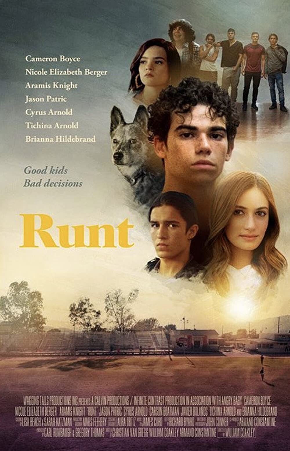 Runt 2020 WEBRip Dual Audio Hindi Unofficial 720p [1XBET] download