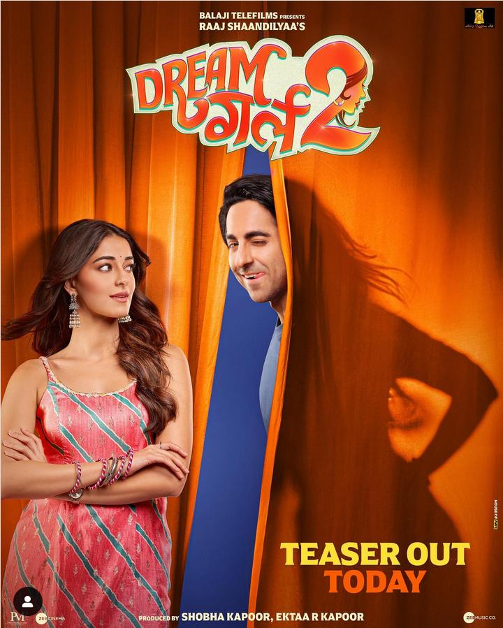 Download Dream Girl 2 2023 WEB-DL Hindi ORG 1080p | 720p | 480p [400MB] download