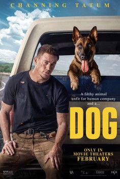 Download Dog (2022) WEB-DL Dual Audio Hindi ORG 1080p | 720p | 480p [400MB] download