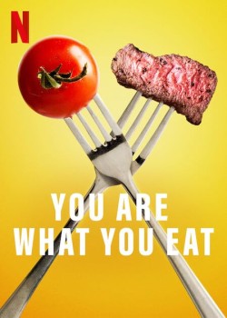 Download You Are What You Eat: A Twin Experiment (Season 1) WEB-DL Complete Hindi Dubbed Netflix Series 1080p | 720p | 480p [1GB] download