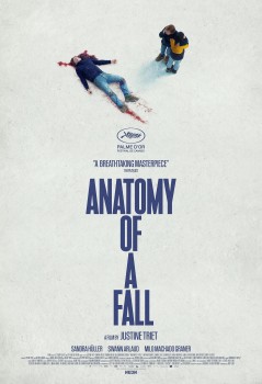 Download Anatomy of a Fall (2023) WEB-DL Dual Audio Hindi ORG 1080p | 720p | 480p [700MB] download