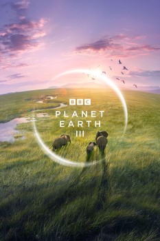 Download Planet Earth III (Season 3) WEB-DL Hindi ORG Dubbed Web Series 720p | 480p [1.1GB] download