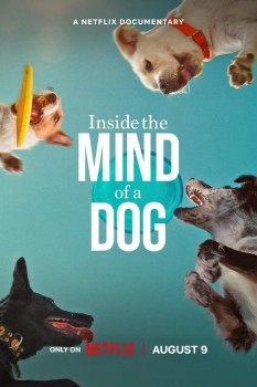 Download Inside the Mind of a Dog (2024) BluRay Dual Audio Hindi ORG 1080p | 720p | 480p [240MB] download