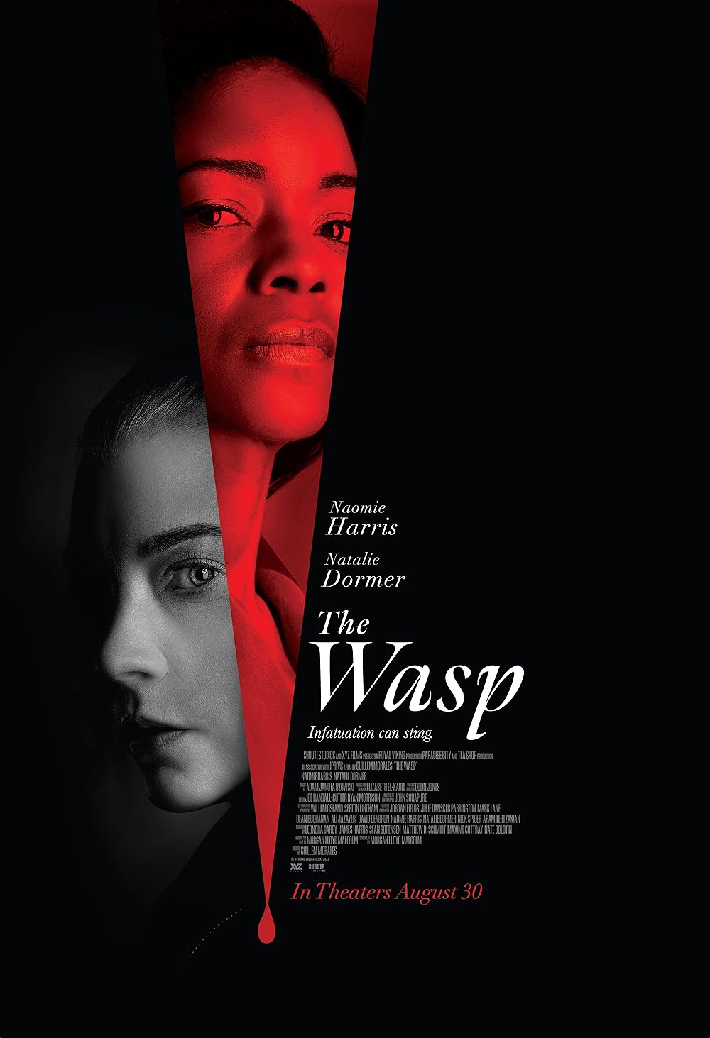 Download The Wasp (2024) WEBRip 1XBET Voice Over 720p download